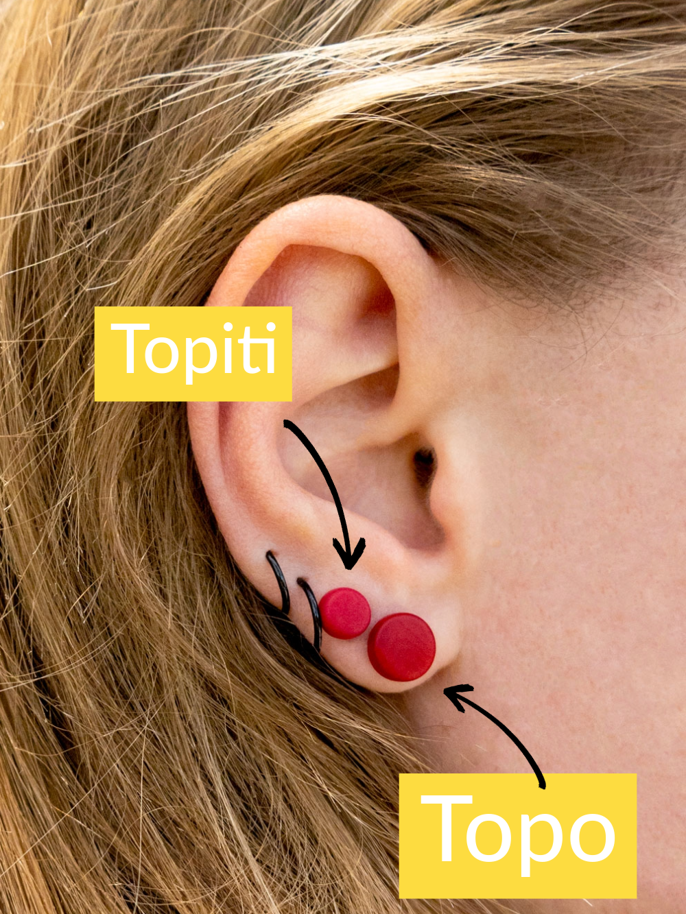 Ohrstecker Topo Gelb - La Tagua Nuss Ohrringe Silber